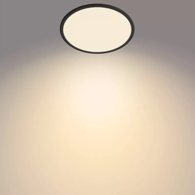 Philips Functional Ceiling Light 18W 2700K 1500 lm Dimmable Surface LED Black