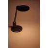 Philips Functional Einstein Desk Light