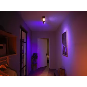 Philips Hue White and colour ambience Centris 2-spot ceiling light