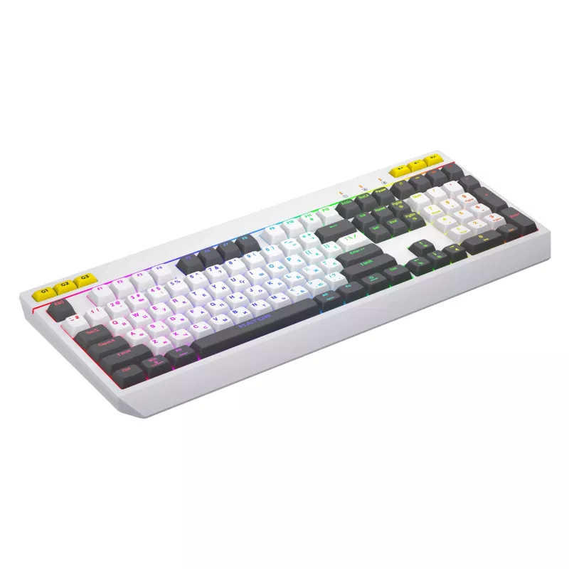 HATOR Icefall Keyboard Gaming USB QWERTY US English White Full-size RGB LED