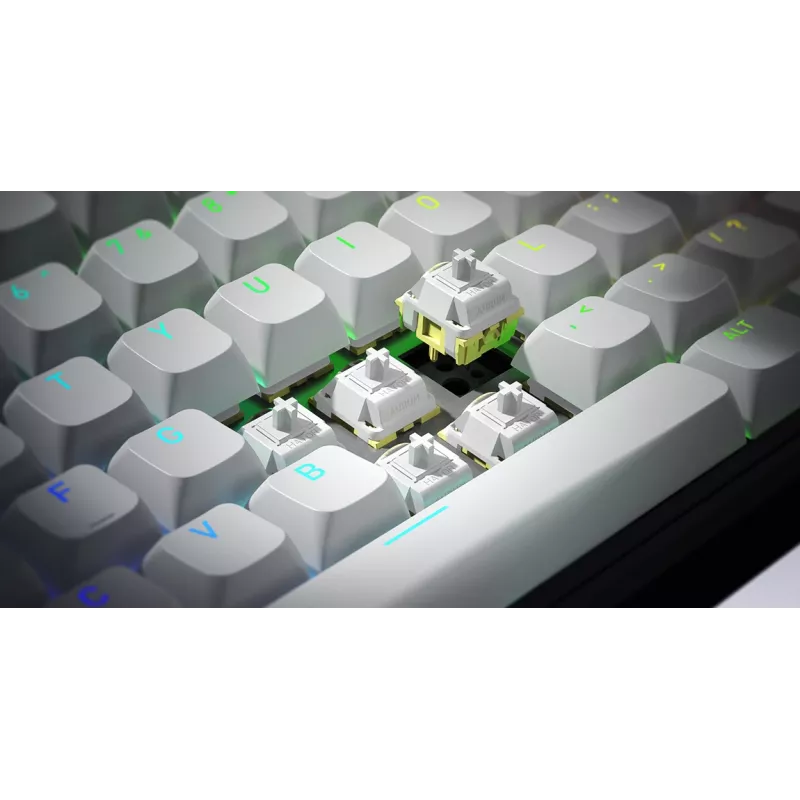 HATOR Skyfall Wireless 80 keyboard Gaming USB + RF Wireless + Bluetooth QWERTY US English Black, White