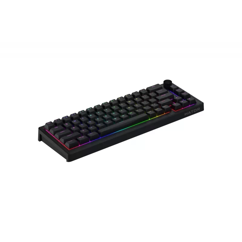 HATOR Skyfall 65 Wired, Mechanical, USB-C, Aurum Sterling, 70M clicks, RGB, Black, 790g