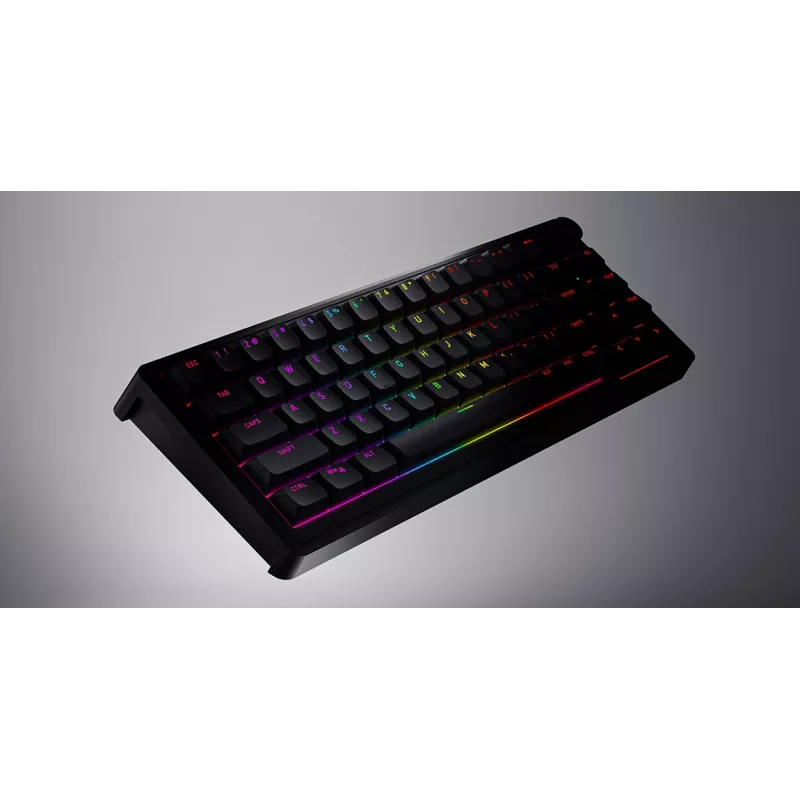 HATOR Skyfall 65 Wired, Mechanical, USB-C, Aurum Sterling, 70M clicks, RGB, Black, 790g
