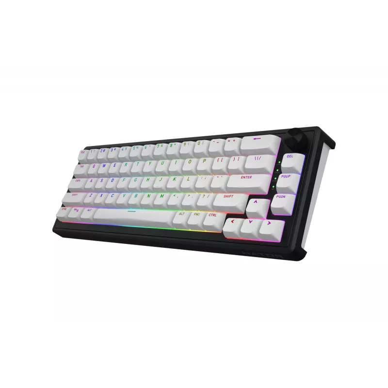 HATOR Skyfall Wireless 65 keyboard Gaming USB + RF Wireless + Bluetooth QWERTY US English Black, White