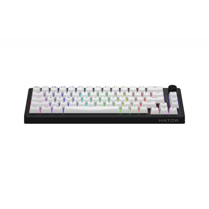 HATOR Skyfall 65 MAG ULTRA 8K keyboard Gaming USB QWERTY US English Black, White