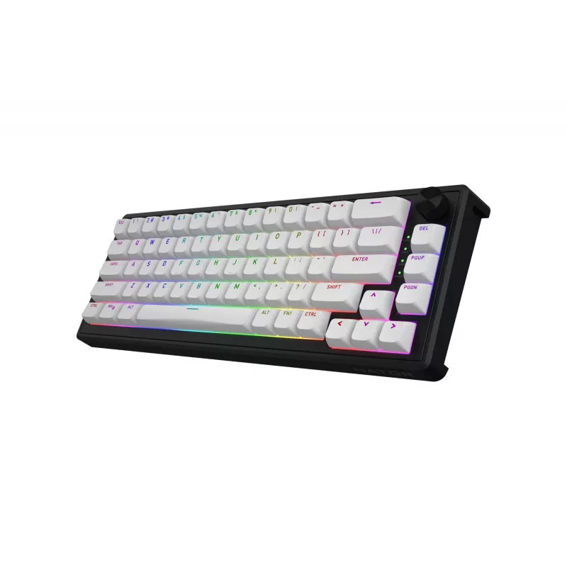 HATOR Skyfall 65 MAG ULTRA 8K keyboard Gaming USB QWERTY US English Black, White