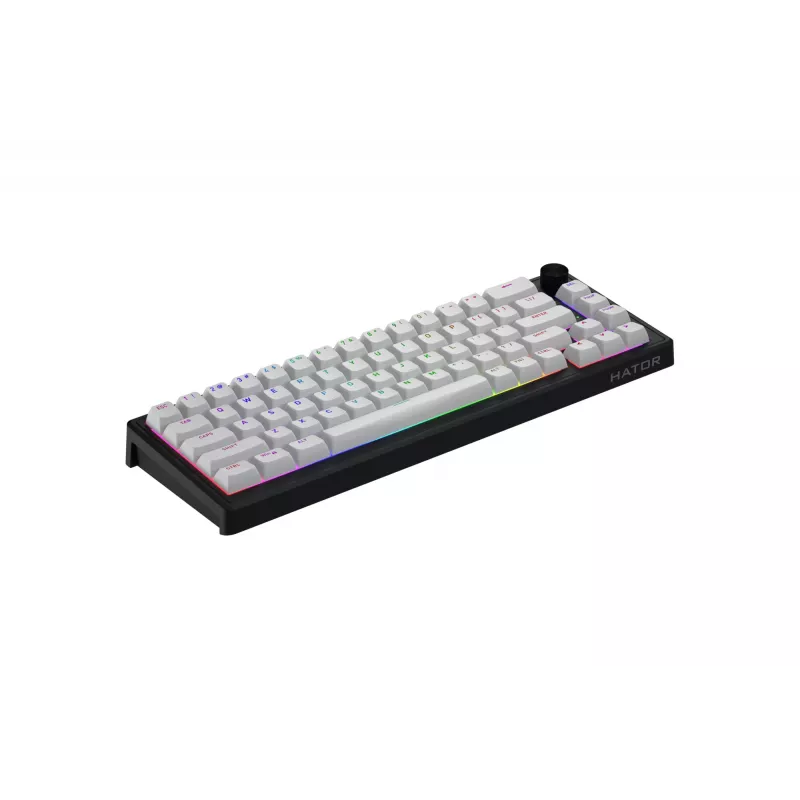 HATOR Skyfall 65 MAG ULTRA 8K keyboard Gaming USB QWERTY US English Black, White