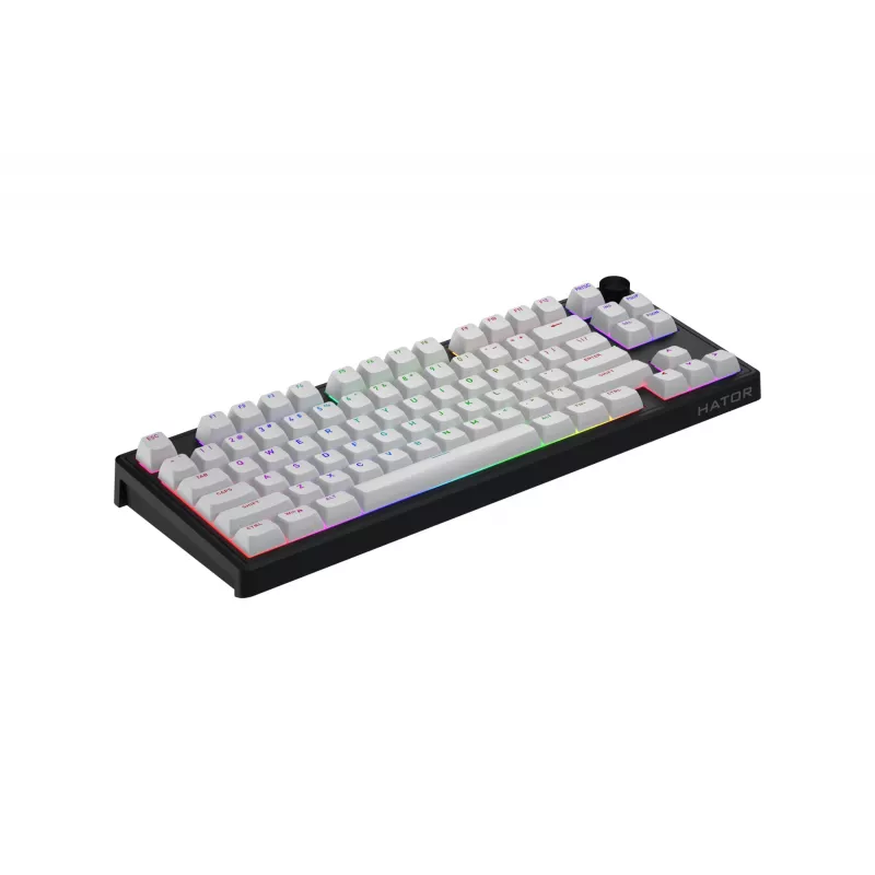 HATOR Skyfall 80 MAG ULTRA 8K keyboard Gaming USB QWERTY US English Black, White