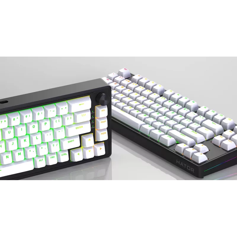 HATOR Skyfall 80 MAG ULTRA 8K keyboard Gaming USB QWERTY US English Black, White