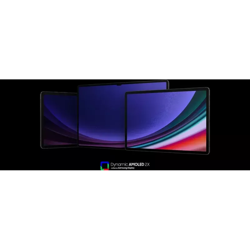 Samsung Galaxy Tab S9 SM-X716B 5G Snapdragon 128 GB 27.9 cm (11 inch) 8 GB Wi-Fi 6 (802.11ax) Android 13 Graphite