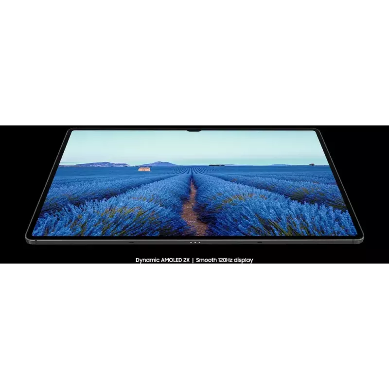 Samsung Galaxy Tab S9 SM-X716B 5G Snapdragon 128 GB 27.9 cm (11 inch) 8 GB Wi-Fi 6 (802.11ax) Android 13 Graphite