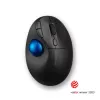 Mouse Kensington ProFit Ergo TB450 Trackball Wireless