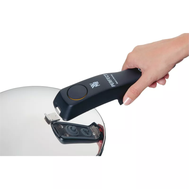 WMF Perfect 07926399 6.5 L Stainless steel