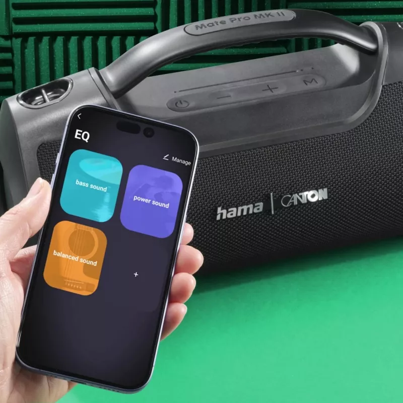 Hama Mate Pro MK II Stereo portable speaker Black 60 W