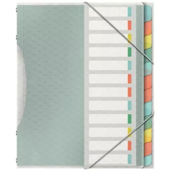 Esselte Colour'Breeze Divider Book with 12 Tabs, Multicolour, Polypropylene (PP), 266 mm, 20 mm, 370 g, 1 pc(s)