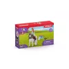 toy figure Schleich HORSE CLUB 42518