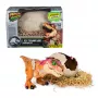 Jurassic World Primal Hatch Interactive Toy Dinosaur & Egg, Hatch & Train your own Baby Dino with 100+ Sounds & Reactions, Kids Toys for Boys & Girls Aged 5 & Up