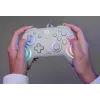 Wired RGB Gaming Controller Turtle Beach Afterglow Wave Grey — USB‑C, 3 m cable, for Nintendo Switch / Switch 2 / Switch OLED