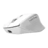 Wireless Right-hand Office Mouse TRUST Niven — RF + Bluetooth, 3200 DPI, 7 buttons, wheel, white