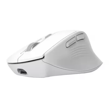 Wireless Right-hand Office Mouse TRUST Niven — RF + Bluetooth, 3200 DPI, 7 buttons, wheel, white