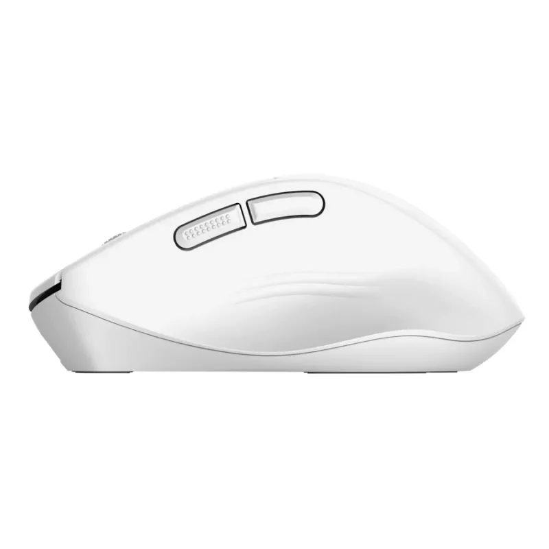 Wireless Right-hand Office Mouse TRUST Niven — RF + Bluetooth, 3200 DPI, 7 buttons, wheel, white