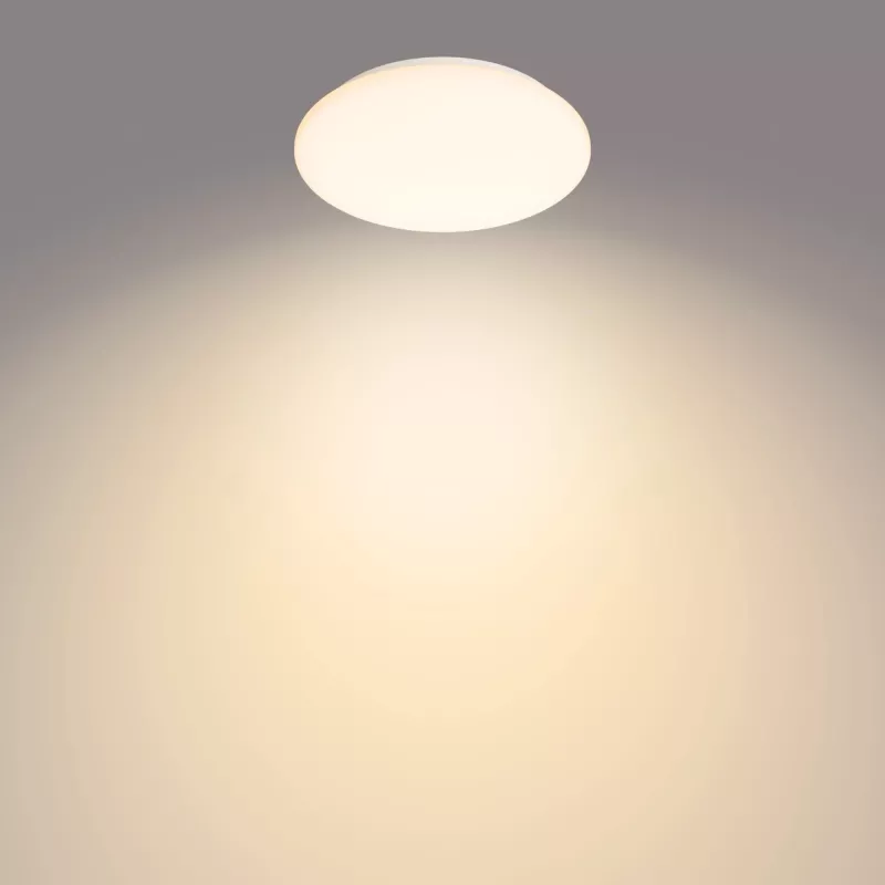 Philips Functional Moire Ceiling Light 10 W, LED, Non-changeable bulb(s), 2700 K, 1000 lm, IP20, White