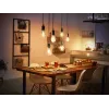 Smart bulb Philips 1-pack ST72 E27 Filament Edison Bluetooth Zigbee