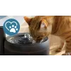 Automatic Pet Water Fountain Philips 3000 Series PAW3210/02, 2.2 L, USB/AC, Black, Plastic