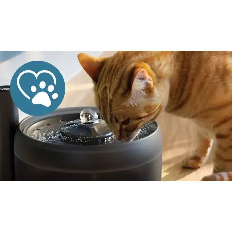 Automatic Pet Water Fountain Philips 3000 Series PAW3210/02, 2.2 L, USB/AC, Black, Plastic