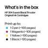 HP 304 2-pack Black/Tri-color Original Ink Cartridges, Black, Cyan, Magenta, Yellow, Pigment-based ink, 2 pc(s), 120 pages, 100 pages