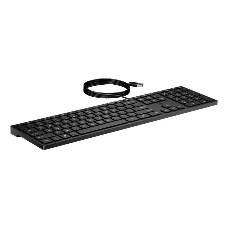 Wired Keyboard HP 320K — Full-size USB, Straight layout, 1.8 m cable, Black