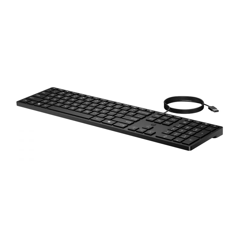 HP Wired Desktop 320K Keyboard Full-size USB Membrane Black