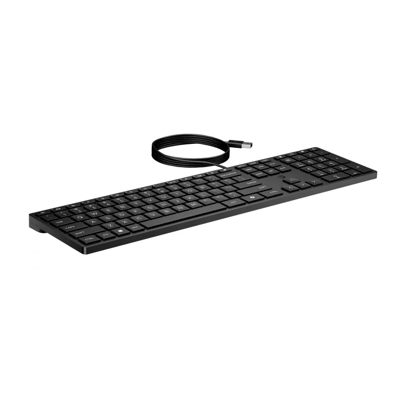 HP Wired Desktop 320K Keyboard