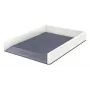 Leitz Letter Tray WOW Dual Colour, Plastic, Metallic, White, A4, 267 mm, 336 mm, 49 mm