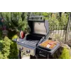 Unold 58595 Barbecue Grill-Wagen BUDDY Cart Electric Black, Stainless steel 2600 W