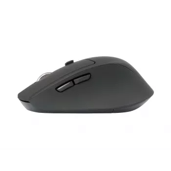 Conceptronic LORCAN02B Ergo mouse Office Right-hand Bluetooth Optical 1600 DPI