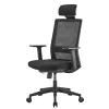 Ergo Office ER-425 Ergonomic High-Back Office Chair, max 150 kg, swivel, adjustable support