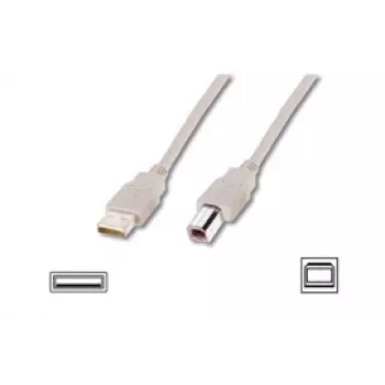 Logilink USB 2.0 connection cable USB-A to USB-B USB A male USB B male
