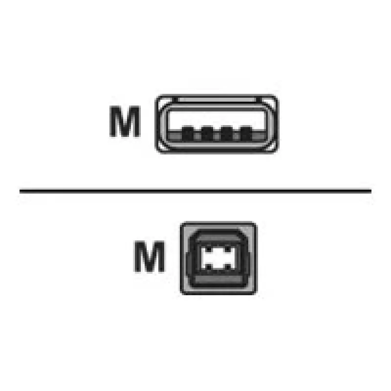Logilink USB 2.0 connection cable USB-A to USB-B USB A male USB B male
