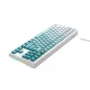 Havit KB901L gaming keyboard white and green USB wired RGB LED
