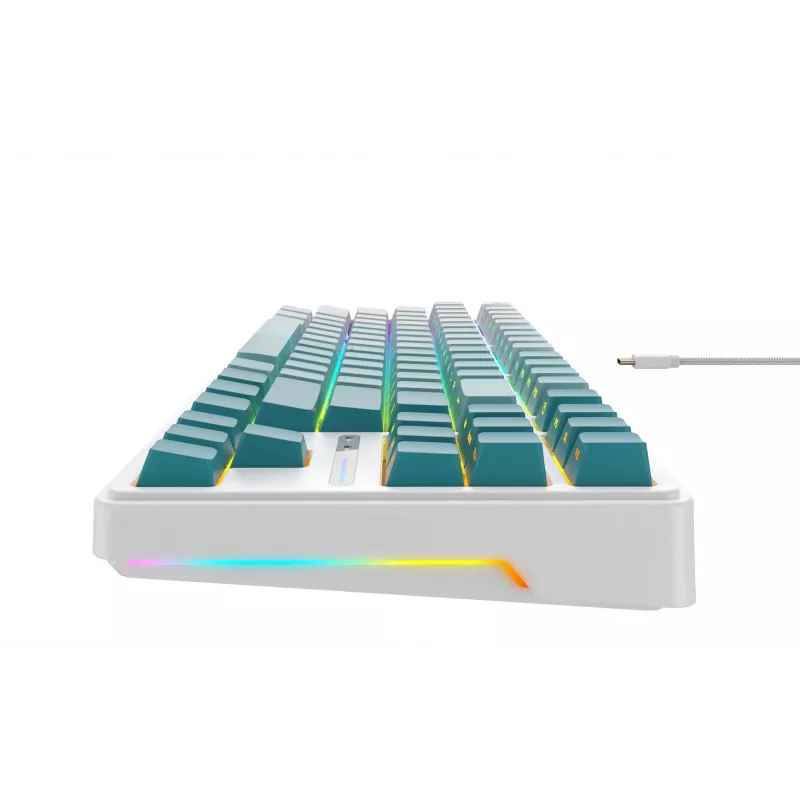 Havit KB901L gaming keyboard white and green USB wired RGB LED