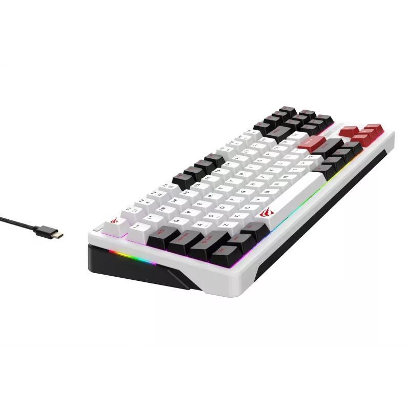 Havit KB902L gaming keyboard 80% wired USB QWERTY 88 keys RGB LED