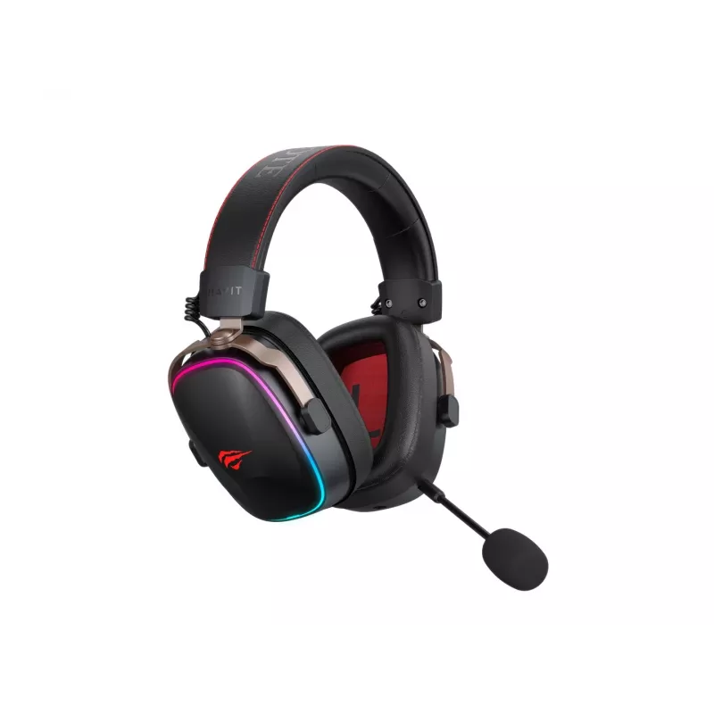 Headphones Havit H2039BG