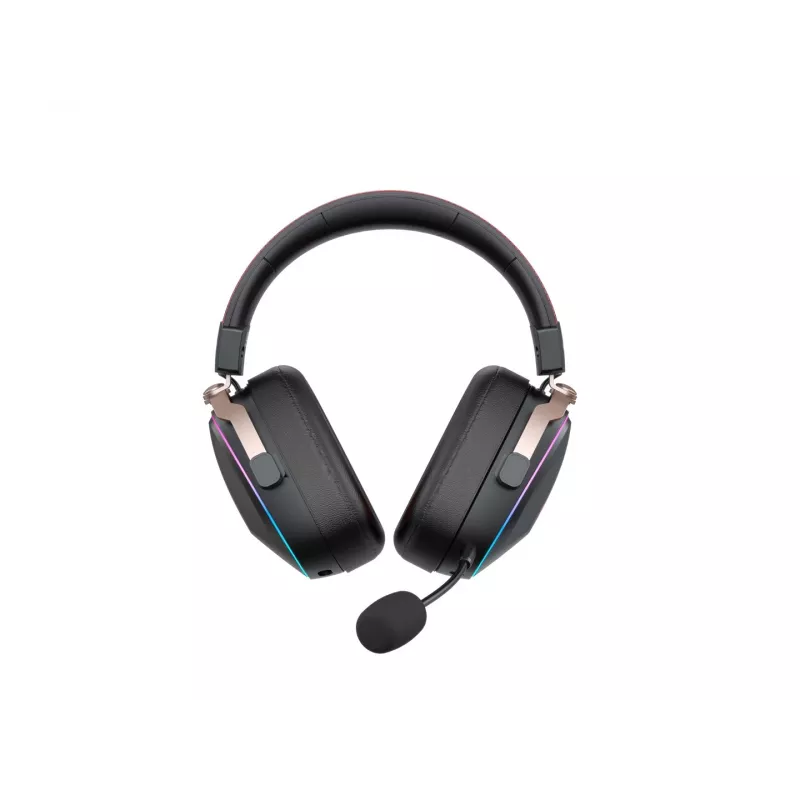 Headphones Havit H2039BG