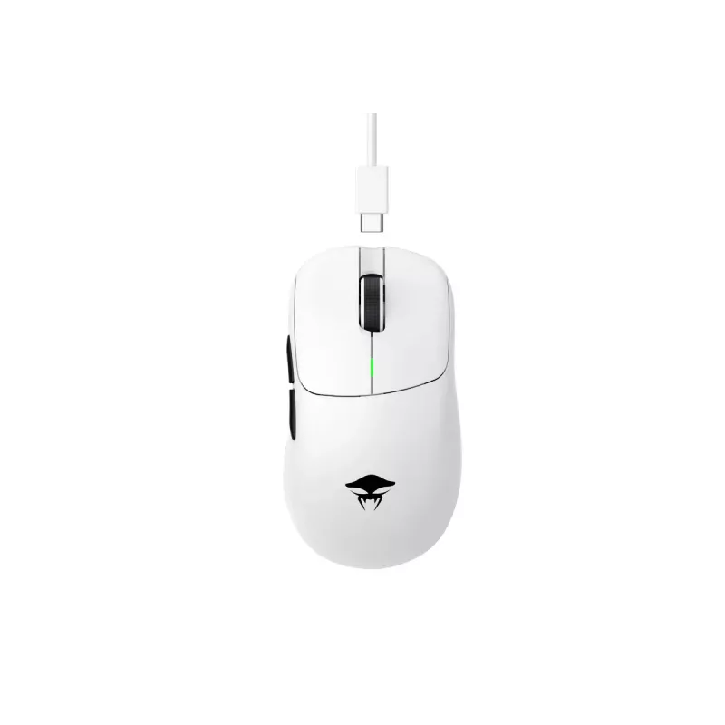 Gaming mouse Havit StarBlaze-1 USB