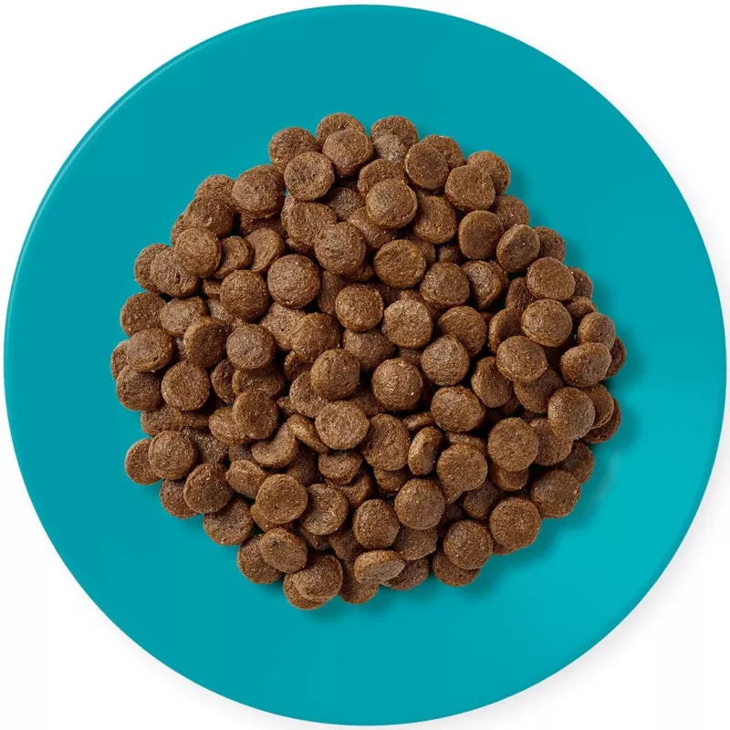 APPLAWS Adult Ocean fish with salmon - dry cat food - 1,8kg