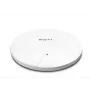 DrayTek Vigor AP1062C WLAN-AX MESH Outdoor AP PoE (ohne NT) (vAP1062c-DE-AT-CH)