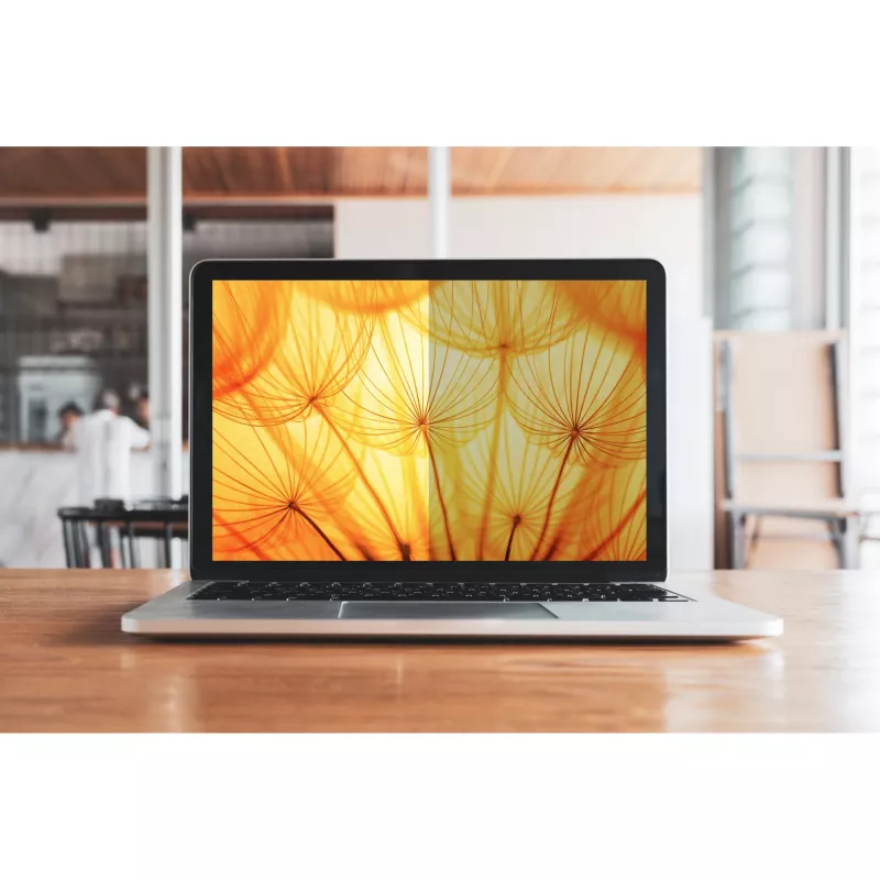 3M - Privacy Filter for Notebook - bright screen - adhesive - 34,2 cm (13.5) - for Microsoft Surface Laptop (13.5 ), Laptop 2 (13.5 ) (7100287810)