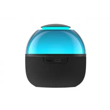 Mono portable speaker Havit SK900BT, black
