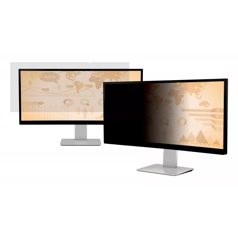 Privacy Filter Monitor 3M PF290W2B